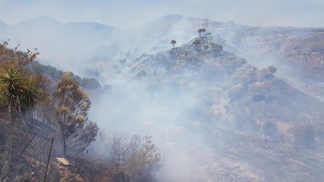 Trebisacce, brucia il monte Mostarico. La desolazione lasciata dagli incendi