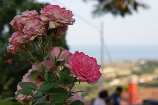 A Roseto Capo Spulico un concorso premia il balcone fiorito più bello