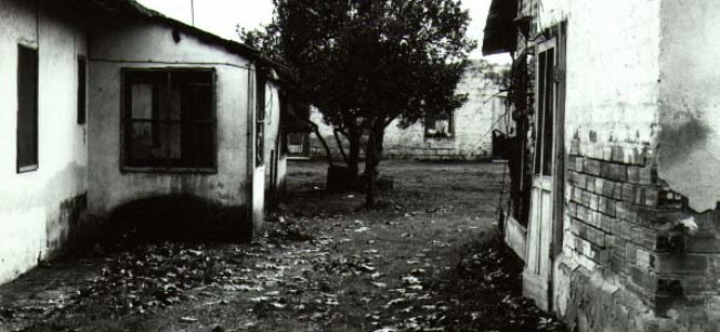 Cosenza, si è spenta a 104 anni Serafina Mauro. Alleviò le sofferenze degli internati di Tarsia Cosenza, si è spenta a 104 anni Serafina Mauro. Alleviò le sofferenze degli internati di Tarsia