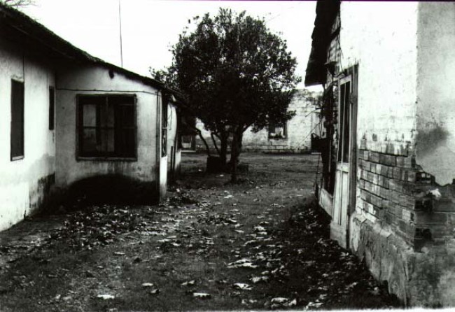 Cosenza, si è spenta a 104 anni Serafina Mauro. Alleviò le sofferenze degli internati di Tarsia Cosenza, si è spenta a 104 anni Serafina Mauro. Alleviò le sofferenze degli internati di Tarsia