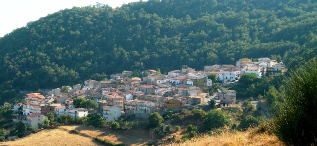 Comunali anche a Castroregio e Plataci. Ecco le liste con tutti i candidati Comunali anche a Castroregio e Plataci. Ecco le liste con tutti i candidati