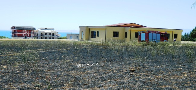 Amendolara, mattinata di fuoco in c.da Lista. Incendio in campo grano nei pressi di una scuola (VIDEO) Amendolara, mattinata di fuoco in c.da Lista. Incendio in campo grano nei pressi di una scuola (VIDEO)