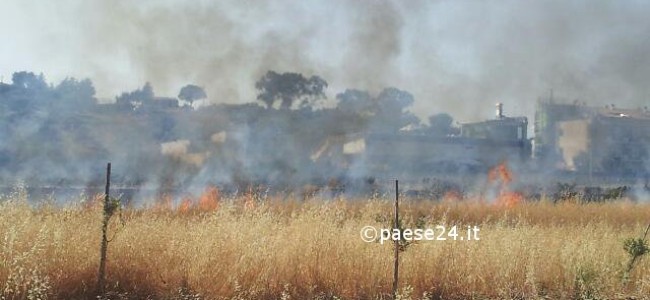 Amendolara, a fuoco un terreno agricolo nei pressi della spiaggia Amendolara, a fuoco un terreno agricolo nei pressi della spiaggia