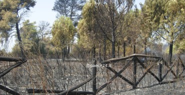 Incendio Villapiana, si contano i danni Incendio Villapiana, si contano i danni