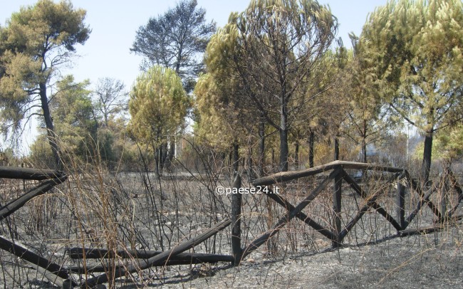 Incendio Villapiana, si contano i danni Incendio Villapiana, si contano i danni