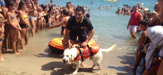 A Marina di Sibari i bagnini sono a quattro zampe A Marina di Sibari i bagnini sono a quattro zampe