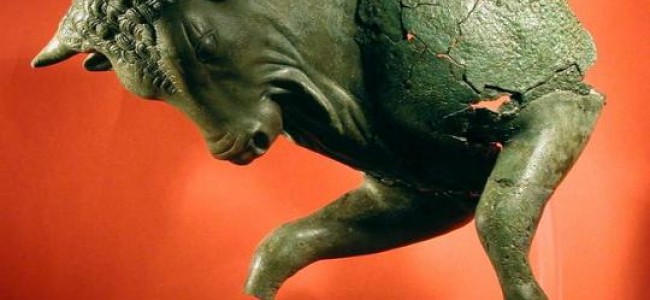 Archeologia, “Toro cozzante” dell’antica Sybaris in bella mostra al Parlamento Europeo di Bruxelles Archeologia, “Toro cozzante” dell’antica Sybaris in bella mostra al Parlamento Europeo di Bruxelles