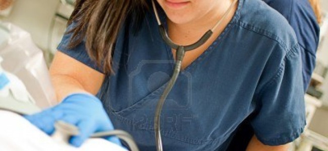 Trebisacce, giovane donna salvata al Punto Primo Intervento dopo shock anafilattico Trebisacce, giovane donna salvata al Punto Primo Intervento dopo shock anafilattico