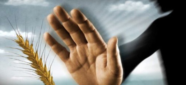 Trebisacce, ristorazione per celiaci. Dall’Asp vademecum per operatori del comprensorio Trebisacce, ristorazione per celiaci. Dall’Asp vademecum per operatori del comprensorio