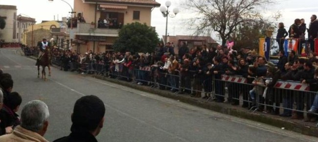 Amendolara, “Palio Sant’Antonio”. Cittadini si interrogano: «Forse sta diventando troppo pericoloso» Amendolara, “Palio Sant’Antonio”. Cittadini si interrogano: «Forse sta diventando troppo pericoloso»