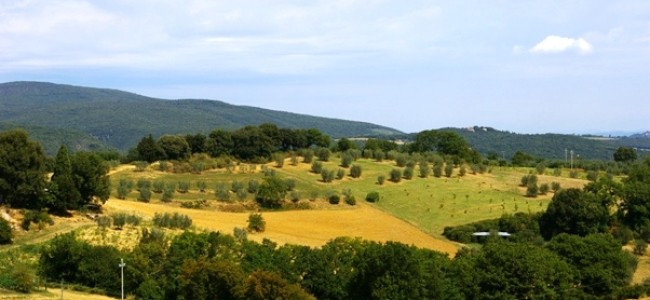 Sibari. Nasce “Love Green”, quando l’agricoltura è multifunzionale Sibari. Nasce “Love Green”, quando l’agricoltura è multifunzionale