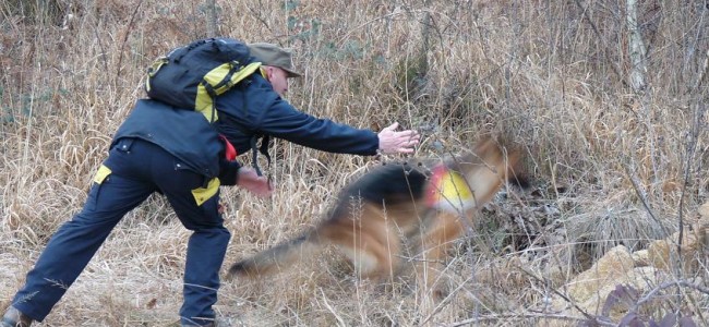ULTIM’ORA: Anziano disperso a Villapiana. Ricerche a tappeto ULTIM’ORA: Anziano disperso a Villapiana. Ricerche a tappeto