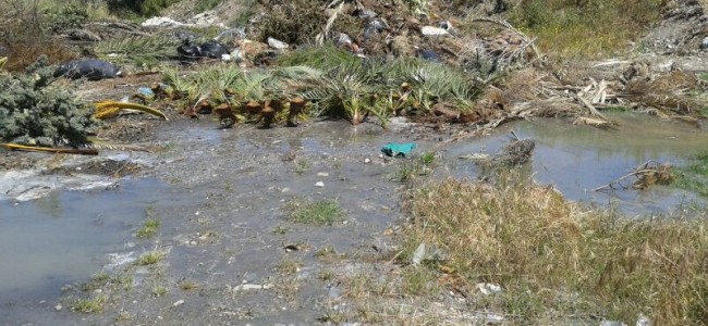 Rossano, Terra e Popolo accusa: «A Seggio degrado ambientale senza precedenti» Rossano, Terra e Popolo accusa: «A Seggio degrado ambientale senza precedenti»