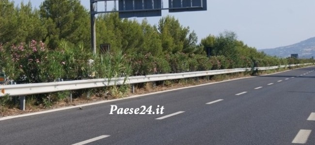 Trebisacce, presto gli autovelox sul viadotto “Pagliara” della Ss 106. Alto Jonio “campo minato” per automobilisti