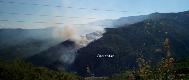 Domenica di fuoco. I piromani bruciano l’Alto Jonio Domenica di fuoco. I piromani bruciano l’Alto Jonio