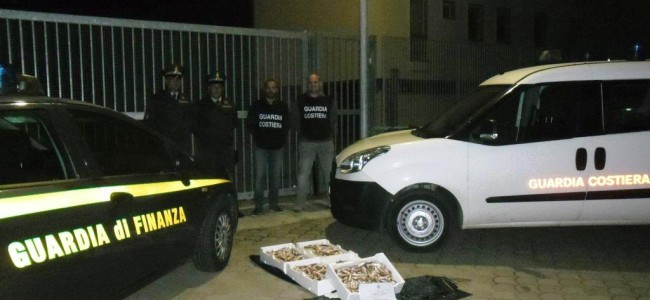 Corigliano, sequestrati trenta chili di triglie illegali Corigliano, sequestrati trenta chili di triglie illegali