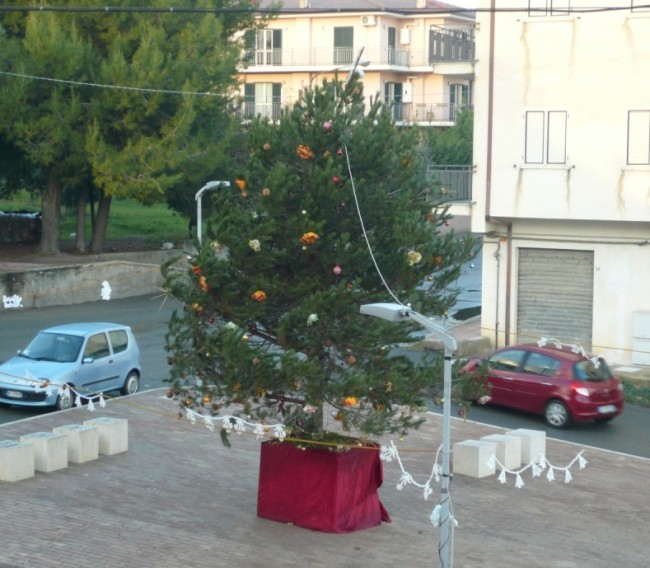 “Aspettando Natale” a Trebisacce. E da San Lorenzo Bellizzi arriva l’albero in regalo