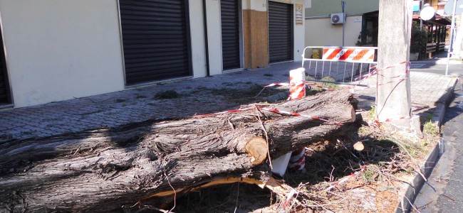Emergenza maltempo. Sibaritide in ginocchio per piogge e forte vento Emergenza maltempo. Sibaritide in ginocchio per piogge e forte vento