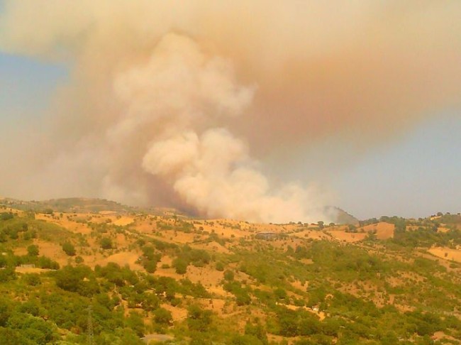 Vasto incendio tra Villapiana, Plataci e Cerchiara. Linee telefoniche in tilt