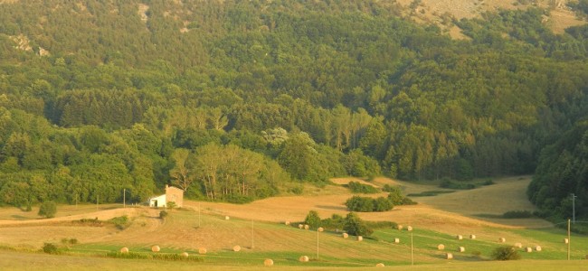 Da Expo ai territori. A Campotenese il Centro Turismo Rurale Da Expo ai territori. A Campotenese il Centro Turismo Rurale
