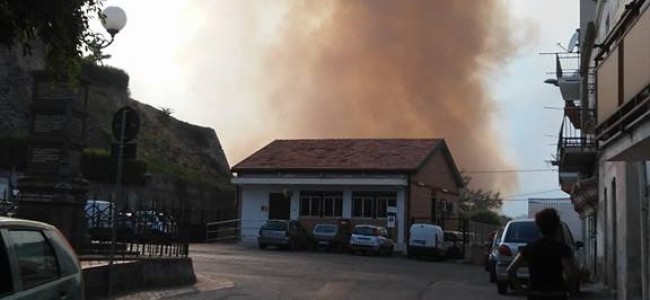 Amendolara nella morsa delle fiamme, quattro incendi in 24 ore Amendolara nella morsa delle fiamme, quattro incendi in 24 ore