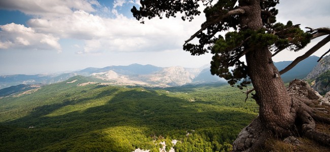 Il Parco del Pollino diventa patrimonio Unesco Il Parco del Pollino diventa patrimonio Unesco