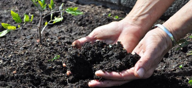 Agricoltura biodinamica, Pollino e Sibaritide “piattaforme del benessere” Agricoltura biodinamica, Pollino e Sibaritide “piattaforme del benessere”