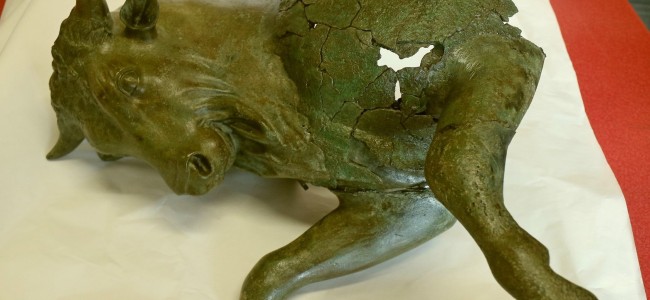 Sibari, il Toro cozzante al Museo Egizio di Torino Sibari, il Toro cozzante al Museo Egizio di Torino