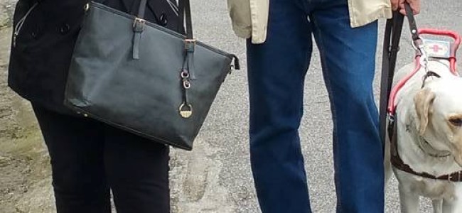 Castrovillari, a messa con le pietre per difendersi dai cani Castrovillari, a messa con le pietre per difendersi dai cani