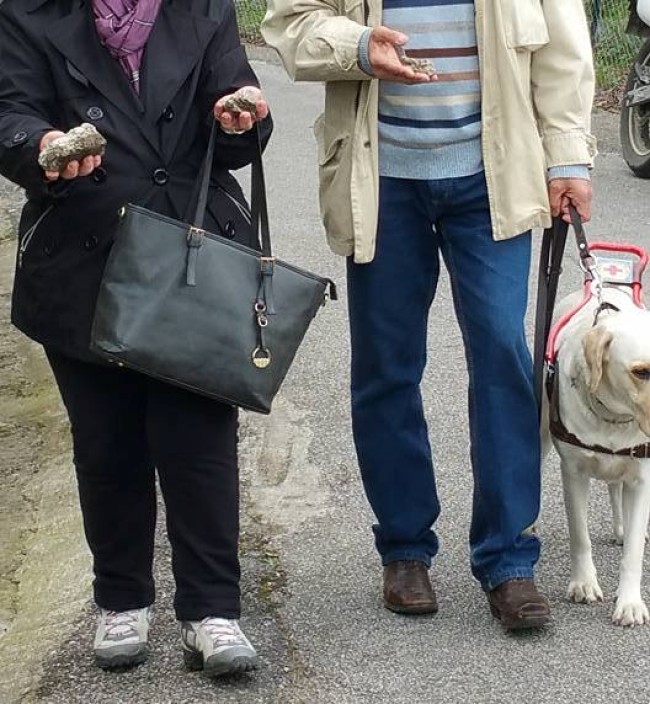 Castrovillari, a messa con le pietre per difendersi dai cani Castrovillari, a messa con le pietre per difendersi dai cani