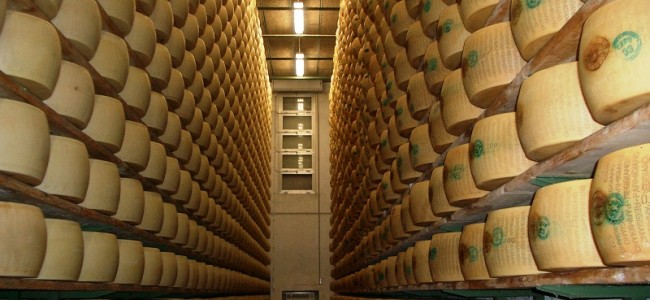 Rossano, studenti dell’Agrario in un viaggio del gusto nell’Emilia Romagna della tavola Rossano, studenti dell’Agrario in un viaggio del gusto nell’Emilia Romagna della tavola