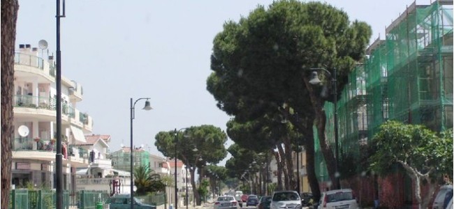 Amendolara, Martorano ufficializza lista in Comune. Lanciata la sfida a Ciminelli Amendolara, Martorano ufficializza lista in Comune. Lanciata la sfida a Ciminelli