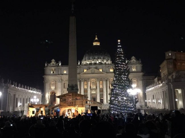 Nel 2027 l’albero di Natale in piazza San Pietro arriverà dai boschi di Terranova di Pollino