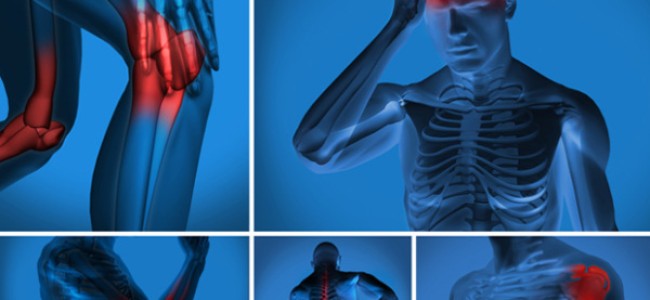 Scoperta proteina contro il dolore cronico. Nel team anche ricercatrice di Cropalati Scoperta proteina contro il dolore cronico. Nel team anche ricercatrice di Cropalati