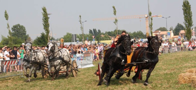 A Francavilla si rivive il fascino della Magna Grecia A Francavilla si rivive il fascino della Magna Grecia