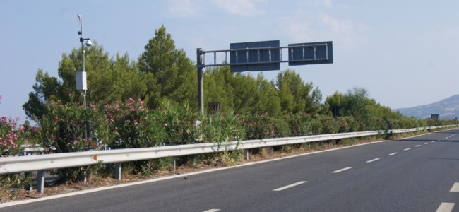 Rocca Imperiale, autovelox d’oro per il Comune. «Ma l’attività amministrativa è ferma al palo» Rocca Imperiale, autovelox d’oro per il Comune. «Ma l’attività amministrativa è ferma al palo»