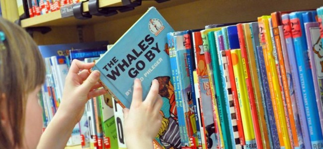 Nati per Leggere, a Castrovillari apre una libroteca per bambini Nati per Leggere, a Castrovillari apre una libroteca per bambini