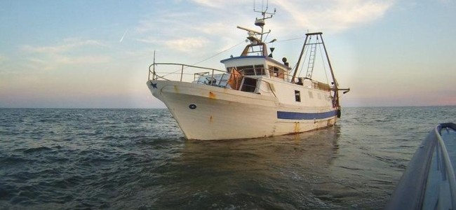 Pesca con il vetriolo nel mar Jonio. Sindaco di Trebisacce lancia l’allarme Pesca con il vetriolo nel mar Jonio. Sindaco di Trebisacce lancia l’allarme