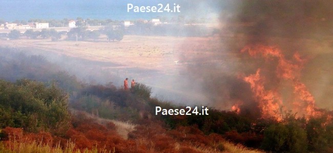 Pomeriggio di fuoco ad Amendolara. Preoccupazione per un pericoloso incendio Pomeriggio di fuoco ad Amendolara. Preoccupazione per un pericoloso incendio