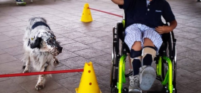 Sibari. “Disabilità e cinofilia”… per un aiuto a quattro zampe Sibari. “Disabilità e cinofilia”… per un aiuto a quattro zampe