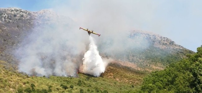Pollino devastato dagli incendi. Sindaco di Viggianello: «Chiediamo maggiore controllo» Pollino devastato dagli incendi. Sindaco di Viggianello: «Chiediamo maggiore controllo»