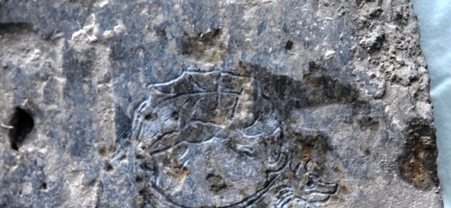 Castrovillari, in un palazzo nobiliare scoperta incisione dell’Ordine del Drago Castrovillari, in un palazzo nobiliare scoperta incisione dell’Ordine del Drago