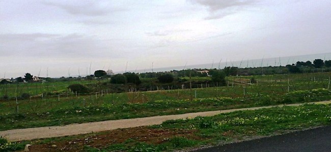 Amendolara. Danneggiata azienda agricola. Distrutti alberi e impianto irrigazione Amendolara. Danneggiata azienda agricola. Distrutti alberi e impianto irrigazione