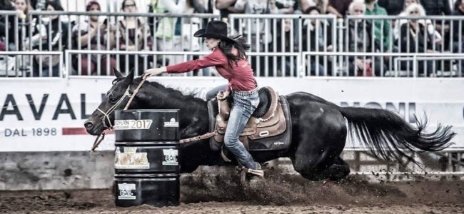 A San Lorenzo del Vallo i campioni della monta western A San Lorenzo del Vallo i campioni della monta western
