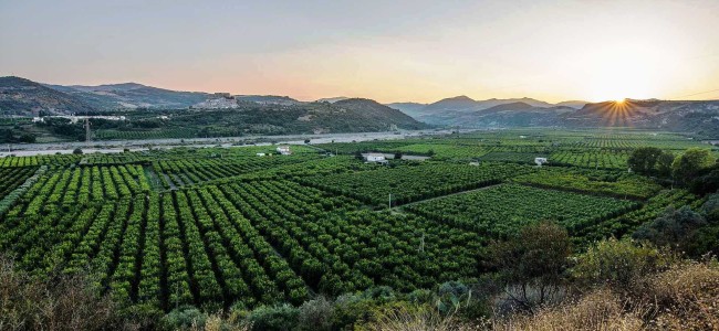 Da Rocca Imperiale parte la sfida di una “secessione agricola” Da Rocca Imperiale parte la sfida di una “secessione agricola”