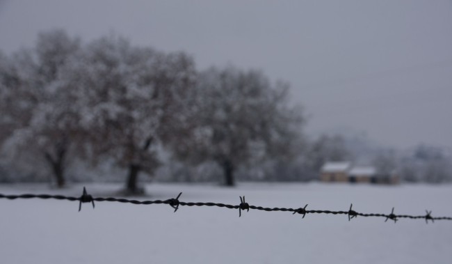 Castrovillari, aperte iscrizioni per il concorso artistico-letterario sulla Shoah Castrovillari, aperte iscrizioni per il concorso artistico-letterario sulla Shoah
