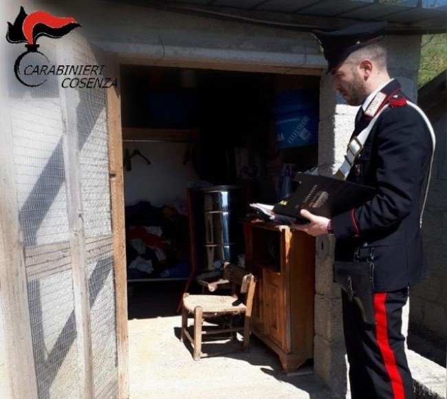 Maltrattava compagna e cognato disabile. Intervento Carabinieri in provincia di Cosenza Maltrattava compagna e cognato disabile. Intervento Carabinieri in provincia di Cosenza