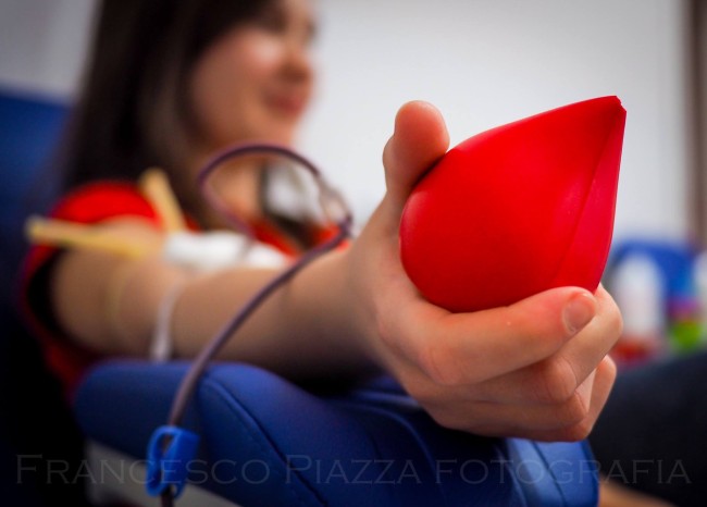 Trebisacce. Avis raccoglie appello per carenza sangue e lancia campagna donazione Trebisacce. Avis raccoglie appello per carenza sangue e lancia campagna donazione