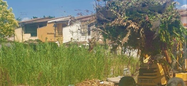 Pulizia straordinaria a Marina di Sibari. Sindaco promette “tolleranza zero” Pulizia straordinaria a Marina di Sibari. Sindaco promette “tolleranza zero”