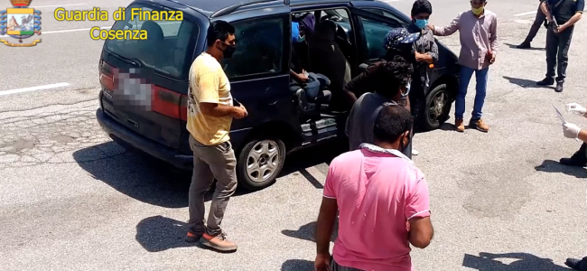 Braccianti sfruttati. Decine di arresti e aziende agricole sequestrate tra Calabria e Basilicata Braccianti sfruttati. Decine di arresti e aziende agricole sequestrate tra Calabria e Basilicata